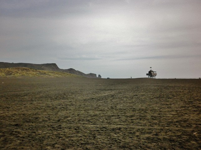 Bethells beach looking towards the southwest