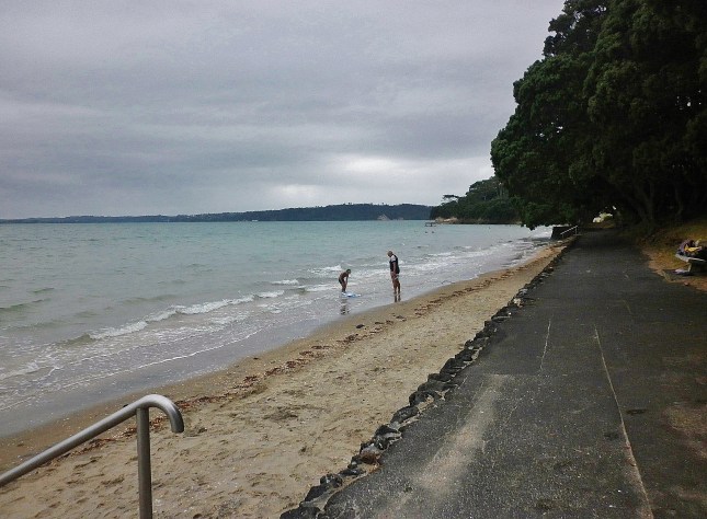 Point Chevalier beach looking north