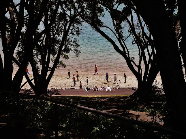 High tide on a sunny day at Point Chevalier beach