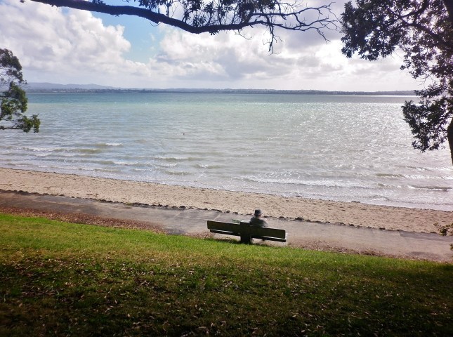 Choppy waters at Pt Chevalier beach
