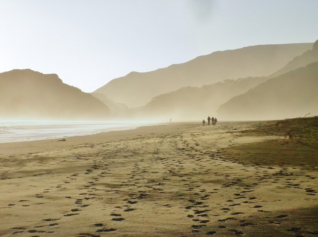 Walking at Te Henga, Bethells beach in winter