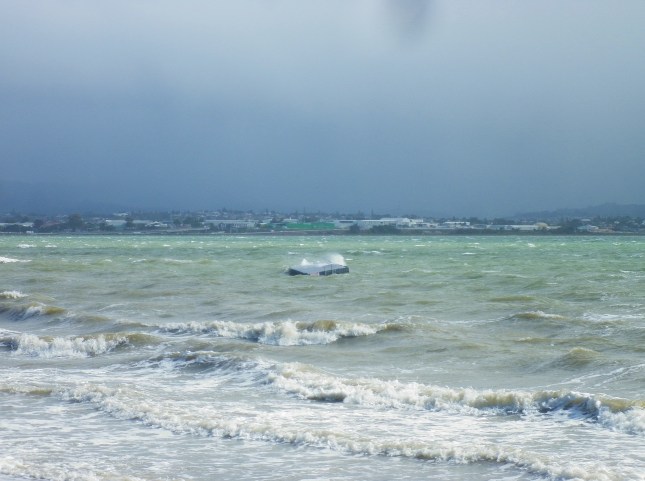 A stormy day with strident westerly onshore winds kept most swimmers away from Pt Chevalier beach on April 13th