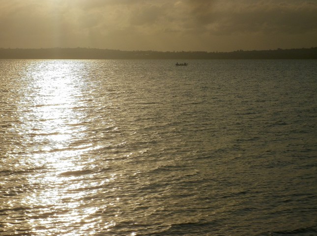 Solitary little boat floats near Pt Chevalier beach on the upper Waitemata Harbour April 16 2015